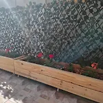 Apple * 사라예보