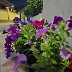 Apple * 사라예보